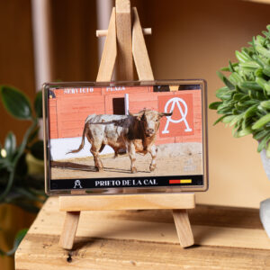 Magnet Collection Toro - Prieto de la Cal