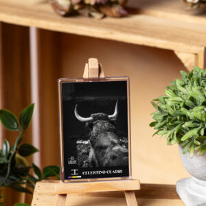 Magnet Collection Toro - Celestino Cuadri