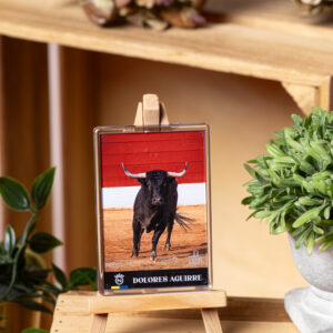 Magnet Collection Toro - Dolores Aguirre