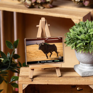 Magnet Collection Toro - Fuente Ymbro