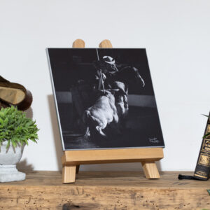 Tercio de varas Helder Pires y Prieto de la Cal