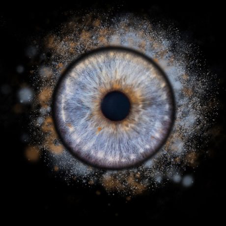 DSC_1462 sophie droite effet copie